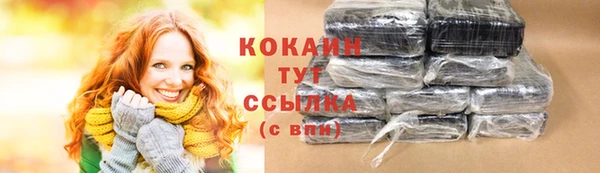 сатива Каменка