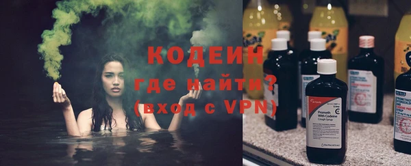 сатива Каменка
