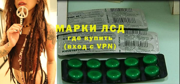 сатива Каменногорск
