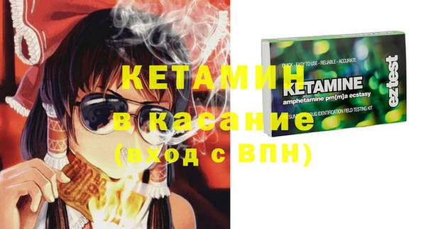 сатива Каменногорск